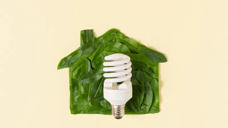 Going Green in Property Management: Eco-Friendly Tips for Landlords and Tenants