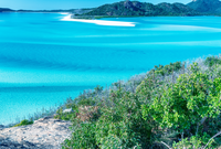 Whitsundays Property Market Update 1st Half 2025