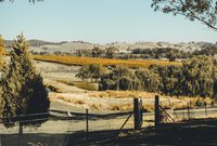 Tumbarumba Property Market Update 2nd Half 2024