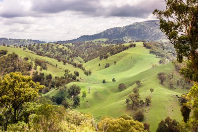 Upper Hunter NSW